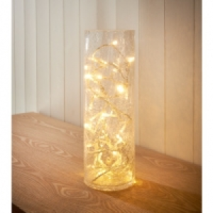 Crackle Glass Vase 40 LED Lights