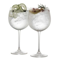 Debenhams  Galway Crystal - Set of 2 crystal gin glasses