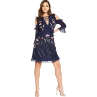 BargainCrazy  V By Very Embroidered Frill Lace Dress