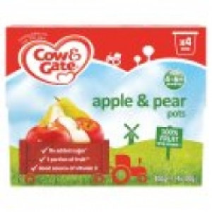 Apple & Pear 100% Fruit Pots 4m+ £1.45