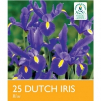 Poundland  Dutch Iris Flower Bulbs 25 Pack