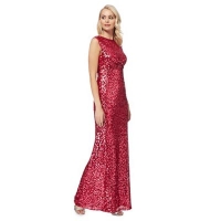 Debenhams  No. 1 Jenny Packham - Dark pink sequin Carrie maxi dress