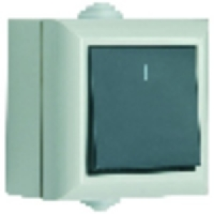 Exterior Switch - 2 Pole- 1 Gang - 1 Way £2.06