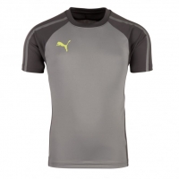 InterSport Puma Mens evoTRG Grey Football Training T-Shirt