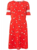 Debenhams  Dorothy Perkins - Curve red floral print fit and flare dress
