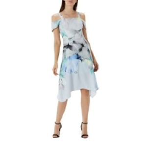 Debenhams  Coast - Floral print Mace soft shift dress