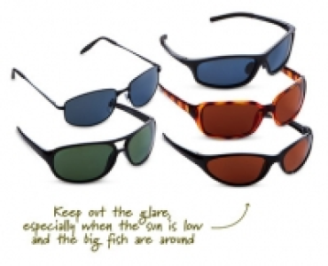 Aldi  Polarised Sunglasses