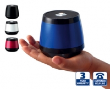 Wireless Speaker Bug £9.99