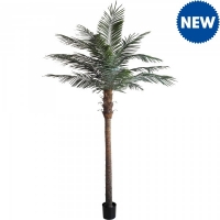 JTF  Palm Tree 8 Foot