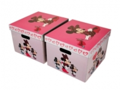 Character Storage Box