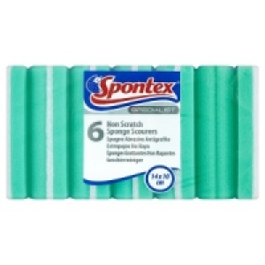 Spontex Specialist 6 Non Scratch Sponge Scourers