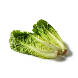 Cooperative Food  Co-op Sweet Romaine Lettuce