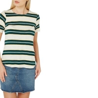 Debenhams  Dorothy Perkins - Multi-coloured striped curved hem t-shirt
