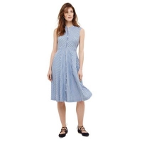 Debenhams  Phase Eight - Blue ajee stripe dress