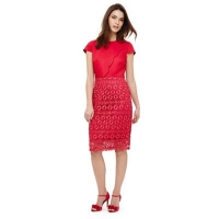 Debenhams  Phase Eight - Pink marlin lace dress