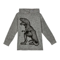 Debenhams  bluezoo - Boys grey T-rex print hoodie