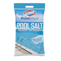Walmart  Clorox Pool Salt