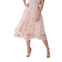 Debenhams  Coast - Blush pink Neive floral lace skirt