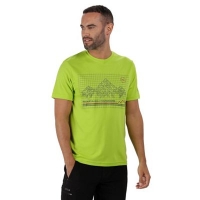 Debenhams  Regatta - Green Fingal technical print t-shirt