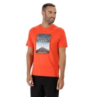 Debenhams  Regatta - Orange Fingal technical print t-shirt
