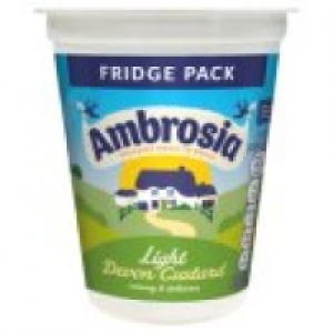 Light Devon Custard £1.00