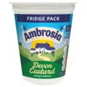 Devon Custard £1.00