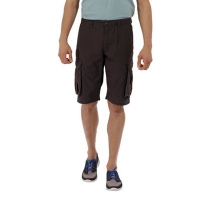 Debenhams  Regatta - Brown Shoreway shorts