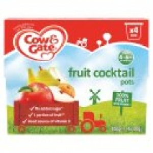 Fruit Cocktail 100% Fruit Pots 4m+ £1.45