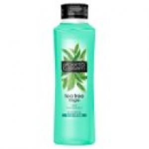 Tea Tree Tingle Shampoo £0.95