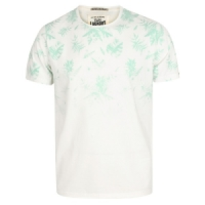 BargainCrazy  Tokyo Laundry Ashville Leaf Print T-Shirt