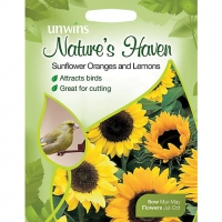Wickes  Unwins Orange and Lemon Sunflower Seeds