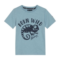 Debenhams  Mantaray - Boys light blue Born Wild lizard print t-shirt