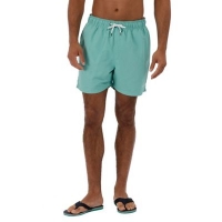 Debenhams  Regatta - Green Mawson swim shorts
