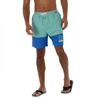 Debenhams  Regatta - Green Brachtmar swim shorts