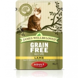 James Wellbeloved Kitten Grain Free Lamb 12x85g