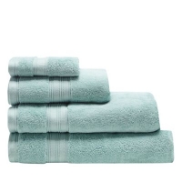 Debenhams  Home Collection - Aqua Hygro Egyptian cotton bath towel