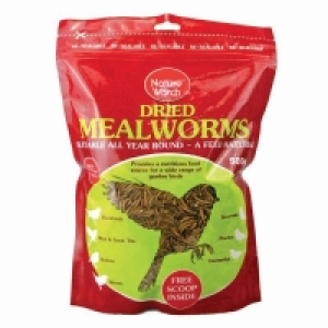 Meal Worms 500g Bag £6.99