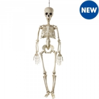 JTF  Hanging Skeleton 85cm