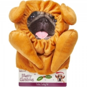 Christmas Turkey Snood Dress Up