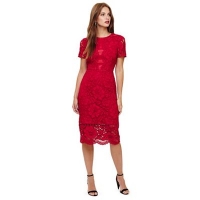 Debenhams  Phase Eight - Scarlet darena lace dress