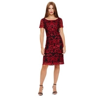 Debenhams  Phase Eight - Black and Scarlet tatiana embroidered dress