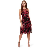 Debenhams  Phase Eight - Black and Scarlet sable embroidered dress