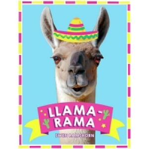 Debenhams  All Sorted - Llama-rama