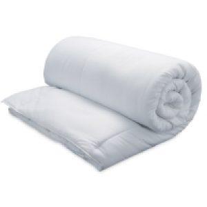 Feels Like Down Double Duvet £9.99