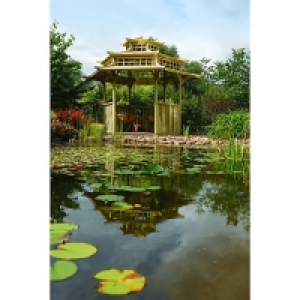 Rowlinson Oriental Timber Pagoda - 4025 x 3290 mm &pound;1,557.00