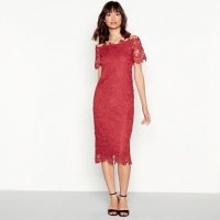 Debenhams  Vila - Red floral lace Bardot neck dress