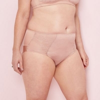 Debenhams  The Collection - Light pink lace midi knickers