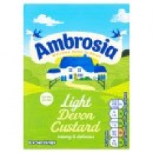 Light Devon Custard Carton £1.00