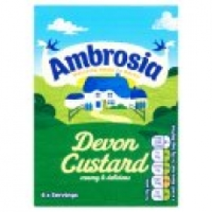 Devon Custard Carton £1.00