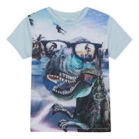 Debenhams  bluezoo - Boys multi-coloured dinosaur print t-shirt